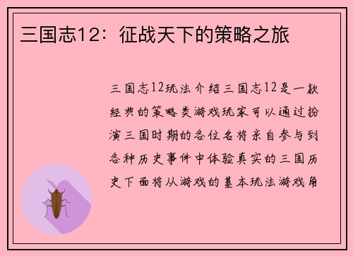 三国志12：征战天下的策略之旅